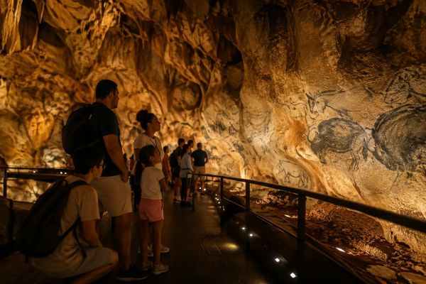 Pourquoi la grotte Chauvet est un trésor de l'art préhistorique