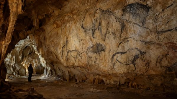 La grotte Chauvet d'Ardèche : un chef-d'œuvre préhistorique incontournable
