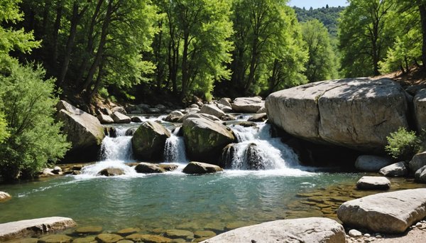 Découvrez des activités originales en ardèche près du camping le plan d'eau
